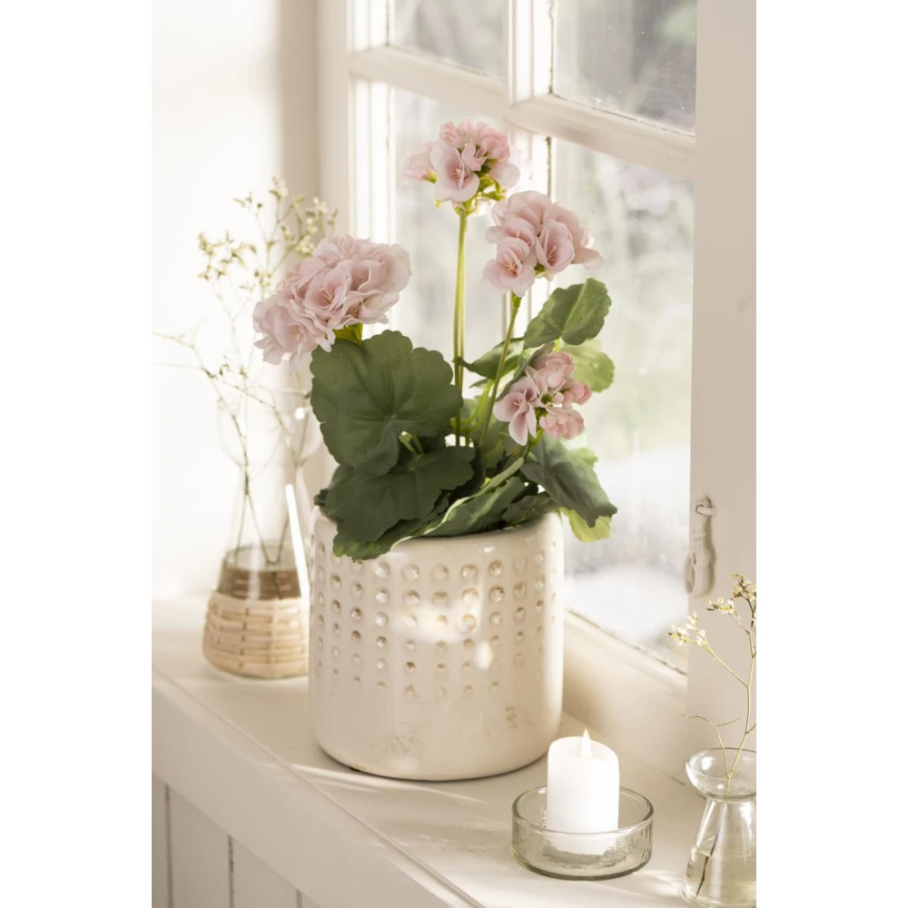 Pelargonia ruukussa vaaleanpunainen, Ib Laursen - Image 3